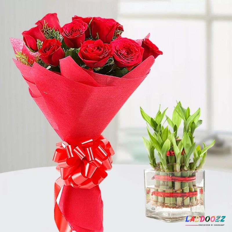 Lucky Bamboo Plant + Roses Combo 